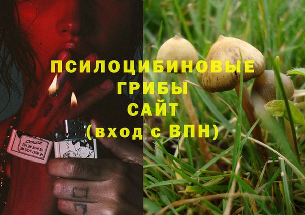 мяу мяу кристалл Магас