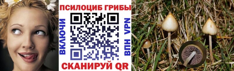 Галлюциногенные грибы Magic Shrooms  где найти   Октябрьский 