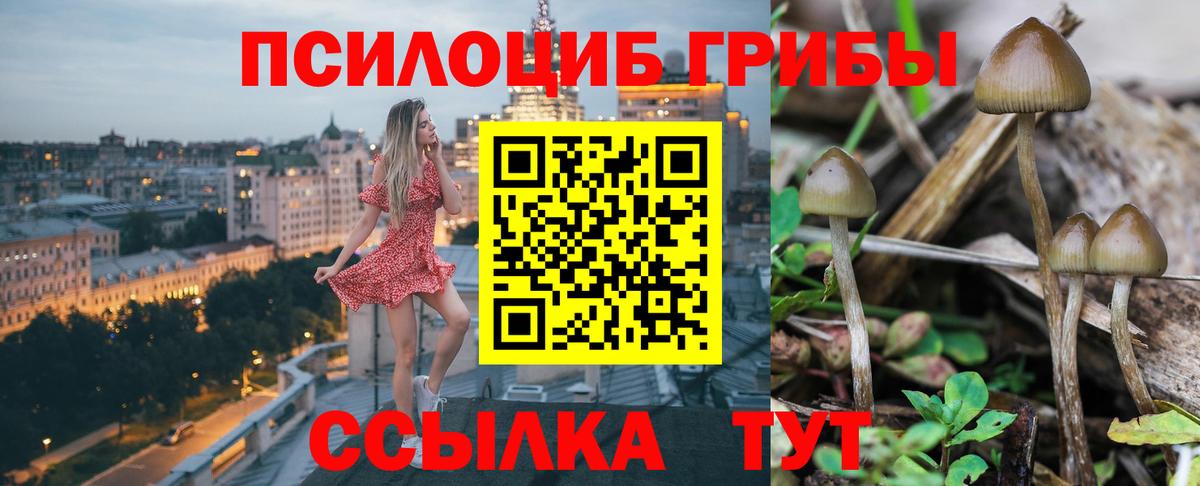 Псилоцибиновые грибы мицелий Октябрьский