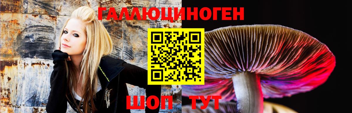 Псилоцибиновые грибы Psilocybine cubensis  Октябрьский  Галлюциногенные грибы Cubensis 